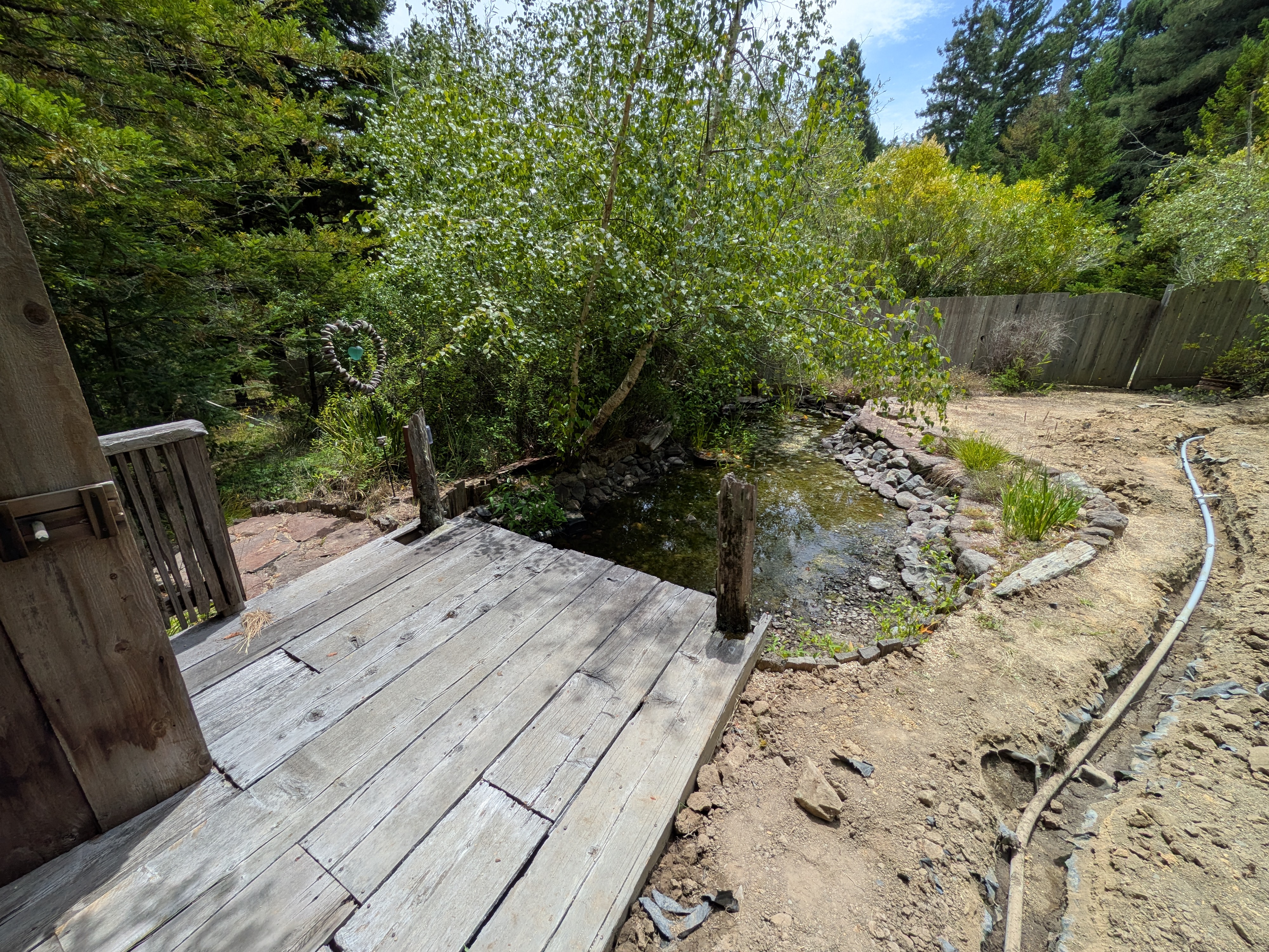 Photo from another angle showing the pond