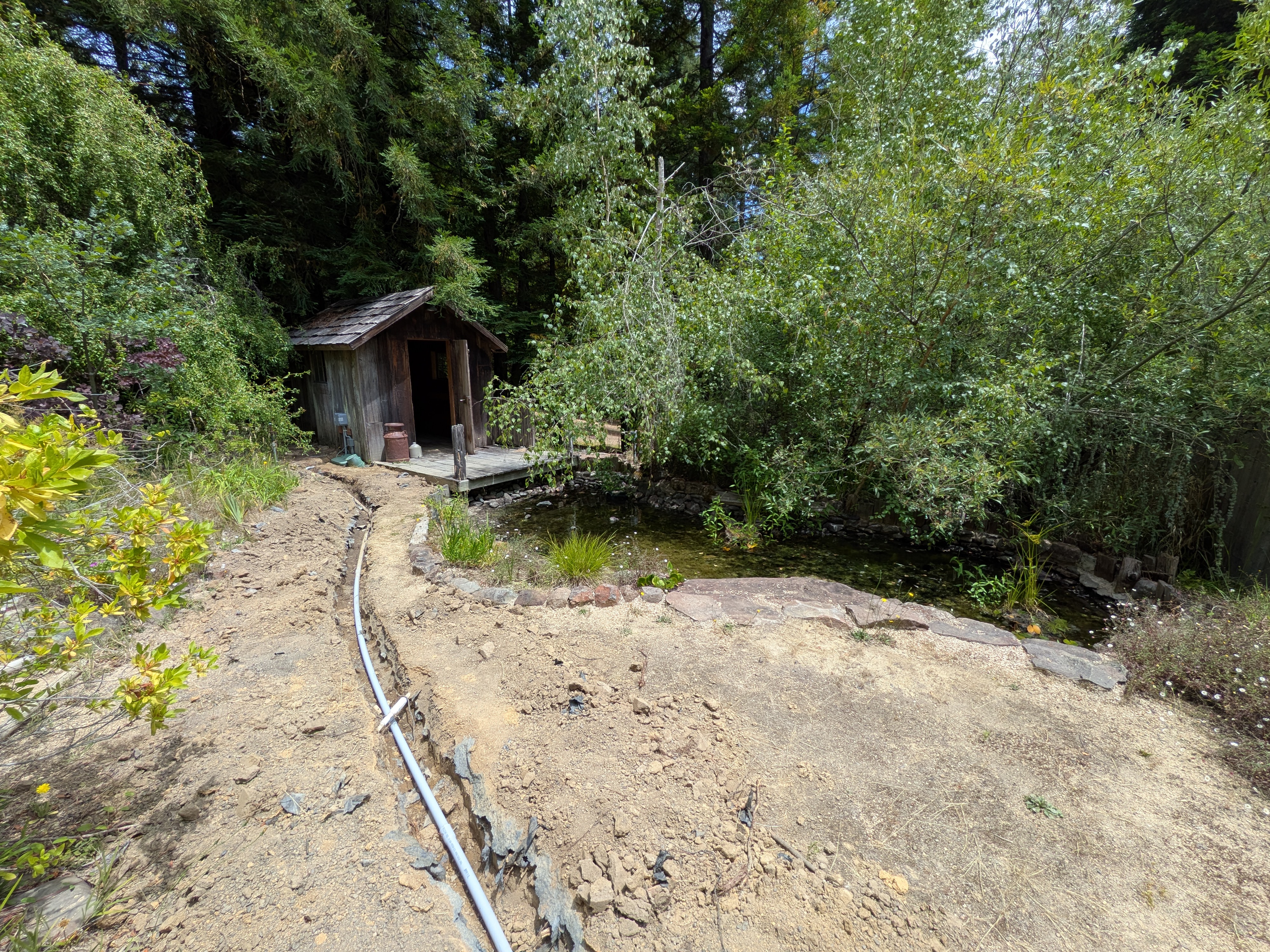 Photo of small shack overlooking a pond water feature