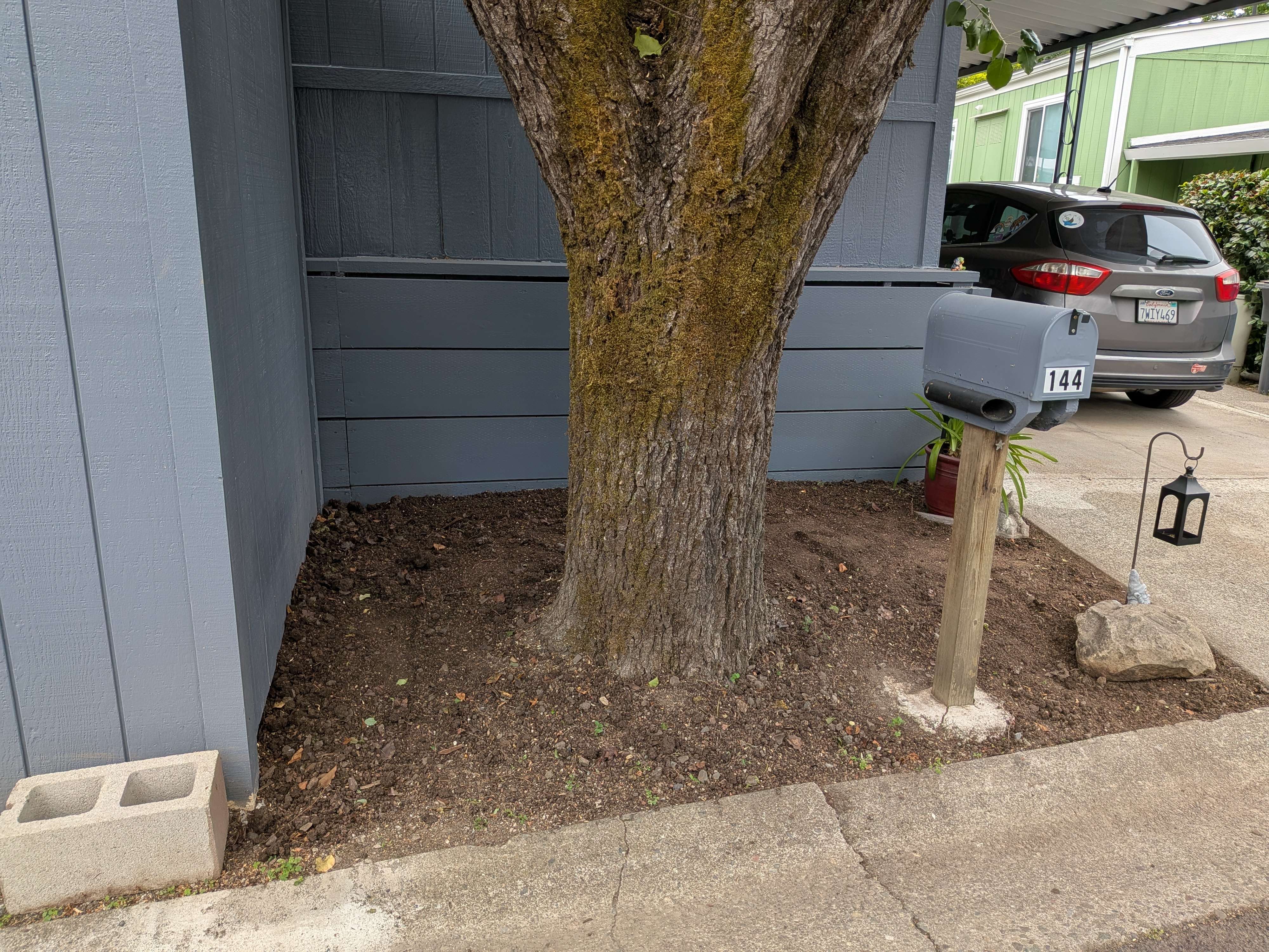Small section landscaping - Progress image